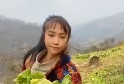 赵灵儿官方爆料视频播放,揭秘幕后故事与精彩瞬间