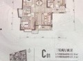 天津梅江爆料最新消息,揭秘梅江发展新动向