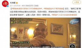 辉瑞员工爆料完整视频大全,揭秘疫苗研发内幕与真实情况