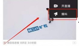 爆料的视频哪里看到的呢