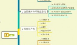 小杰缅甸爆料视频大全集,揭秘神秘国度的真实面貌